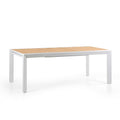 Tavolo allungabile in alluminio e legno 200-300x100x075- Olbia
