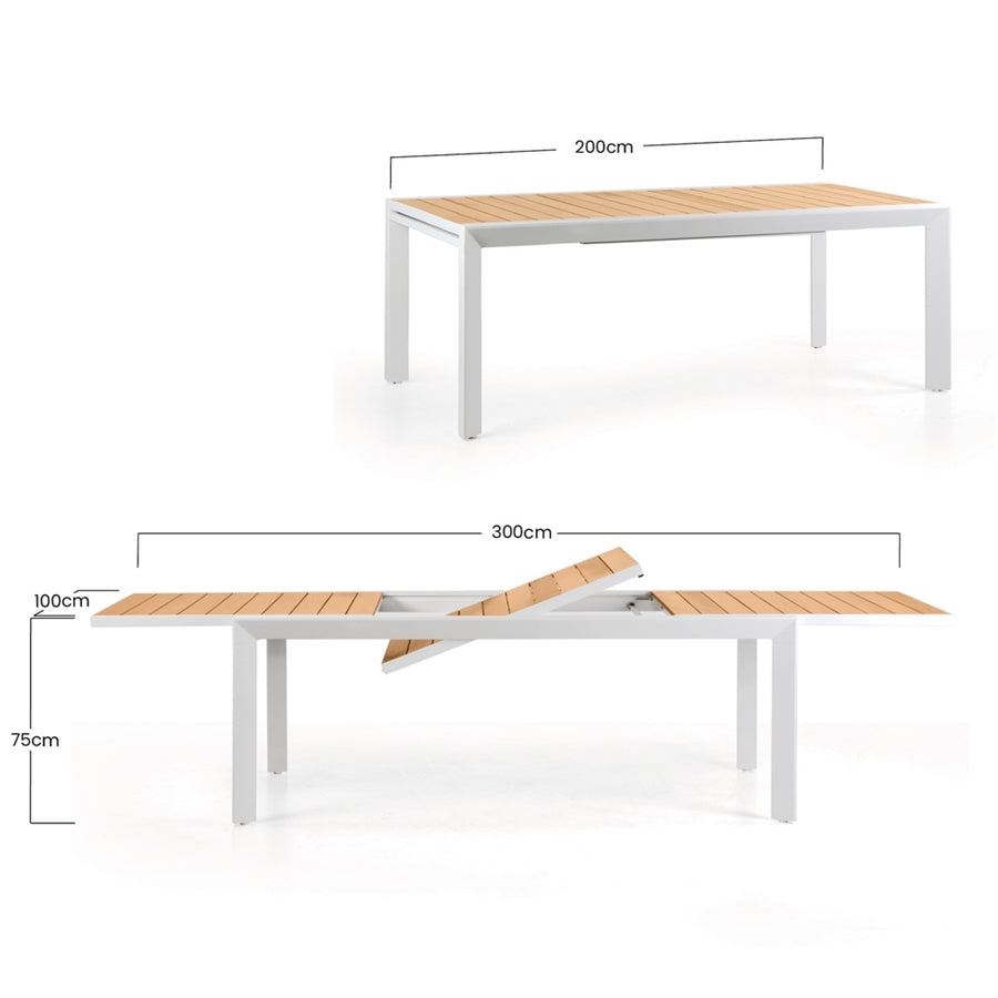 Tavolo allungabile in alluminio e legno 200-300x100x075- Olbia